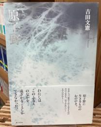 原子野 : 詩集