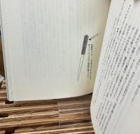 一人二役