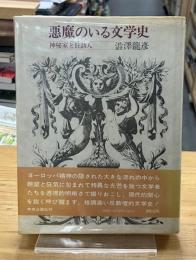 悪魔のいる文学史 : 神秘家と狂詩人