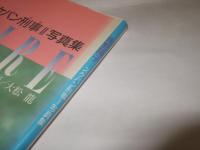 南野陽子 スケバン刑事 II MEMOIRE