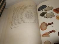 原色日本菌類図鑑　全8巻 