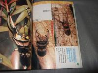 獨角仙鍬形蟲圖鑑&飼育完全BOOK