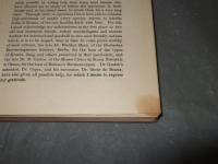 FAUNA 　of　BRITISEINDIA　Coleoptera 　（甲虫類）　甲虫目　
　