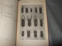 FAUNA 　of　BRITISEINDIA　Coleoptera 　（甲虫類）　甲虫目　
　