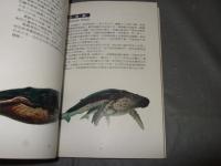 珍禽異獣録　珍しい鳥や獣の記録