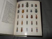 coléoptères de france　TOME1（第1巻）　フランスの甲虫類