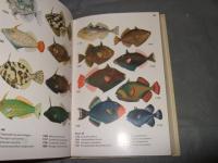 A Field Guide to the Coral Reef Fishes of the Indian and Western Pacific Oceans