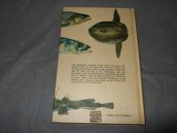 Collins Guide to the　SEA　FISHES of Britain and North-Western Europe