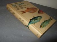 Collins Guide to the　SEA　FISHES of Britain and North-Western Europe