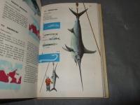 Collins Guide to the　SEA　FISHES of Britain and North-Western Europe