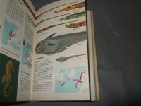 Collins Guide to the　SEA　FISHES of Britain and North-Western Europe