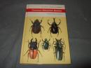 Common Malaysian beetles (Malaysian nature handbooks) 
