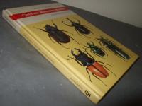 Common Malaysian beetles (Malaysian nature handbooks) 