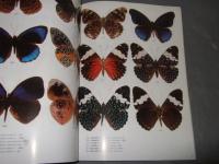 Shijie Hudie Bolan(volume I)(Chinese Edition)　『石傑・フディ・ボラン 第1巻 』