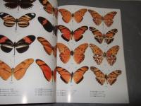 Shijie Hudie Bolan(volume I)(Chinese Edition)　『石傑・フディ・ボラン 第1巻 』