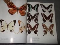 Shijie Hudie Bolan(volume I)(Chinese Edition)　『石傑・フディ・ボラン 第1巻 』