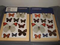 日本産蝶類標準図鑑