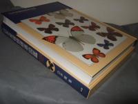 日本産蝶類標準図鑑