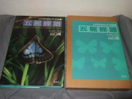 五麗蝶譜 : シジミチョウとアリの共棲