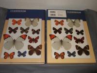 日本産蝶類標準図鑑