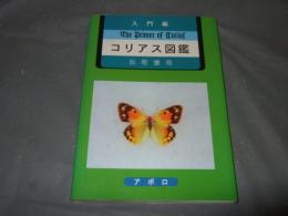 入門編　コリアス図鑑