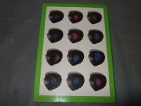 入門編　アグリアス図鑑