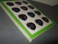 入門編　アグリアス図鑑