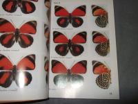 入門編　アグリアス図鑑