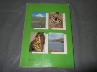 入門編　パルナシウス図鑑