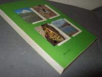 入門編　パルナシウス図鑑