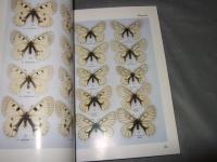 入門編　パルナシウス図鑑