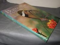 Butterflies of the Neotropical Region PartⅡDanaidae, Ithomiidae, Heliconidae＆Morphidae