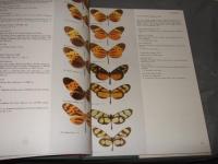 Butterflies of the Neotropical Region PartⅡDanaidae, Ithomiidae, Heliconidae＆Morphidae