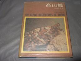 高山蝶 : 生態写真