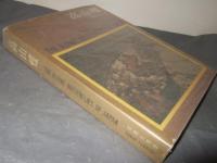 高山蝶 : 生態写真