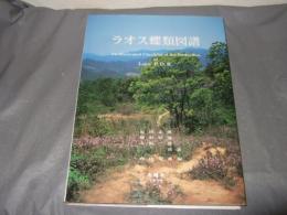 ラオス蝶類図譜