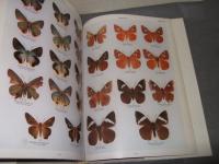 ラオス蝶類図譜