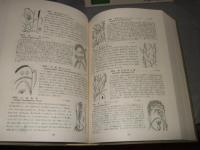 牧野新日本植物圖鑑