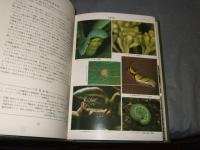 原色日本昆虫生態図鑑