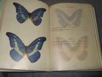 世界の蝶 : 原色図鑑
