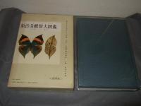 原色台湾蝶類大図鑑