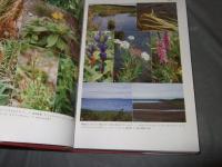 サハリン島の植物