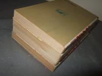 ビッグX　全4巻　 (サンデー・コミックス)