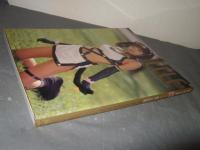 Elle : 佐藤江梨子写真集