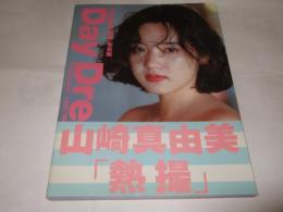 Day Dream : 山崎真由美「熱撮」写真集