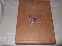 Butterflies of Colombia, Vol. 1（英語名）