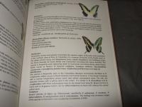 Butterflies of Colombia, Vol. 1（英語名）