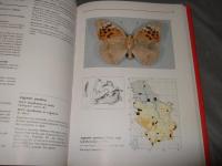 Red Data Book of Serbian Butterflies: Lepidoptera: Hesperioidea and Papilionoidea　（セルビアの蝶類レッドデータブック：セセリチョウ上科・アゲハチョウ上科）