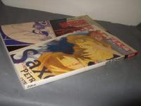 世界名作版画集