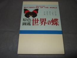原色圖鑑 世界の蝶